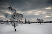 54 - FAGNES - PERRON ASTRID - belgium